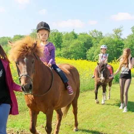 Holiday Walkyrien - Bli100